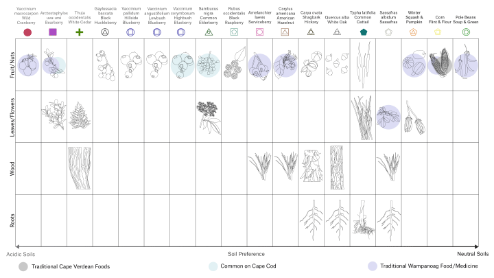 Diagram: plant types vs. soild acidity