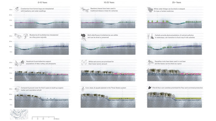 Final sections showing change over 25+ years time