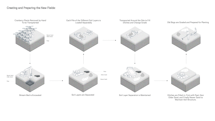 Diagrams: Creating and preparing new fields